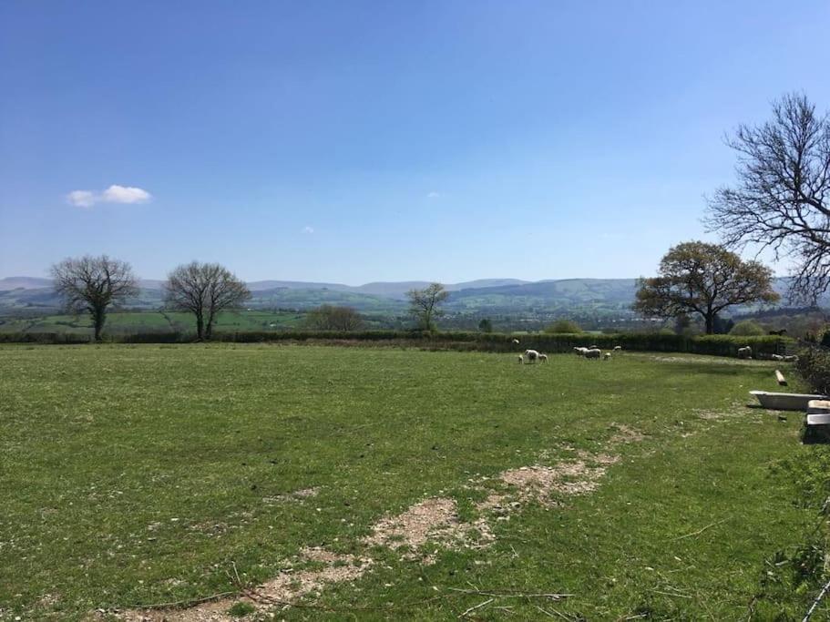 Perfect Cottage Retreat Near The Brecon Beacons Llanwrda Extérieur photo