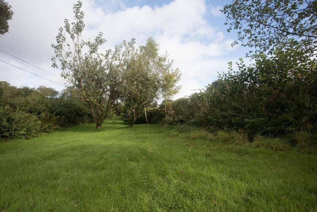 Perfect Cottage Retreat Near The Brecon Beacons Llanwrda Extérieur photo